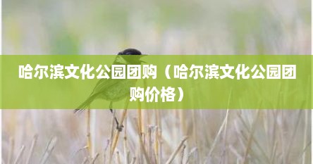 哈尔滨文化公园团购（哈尔滨文化公园团购价格）