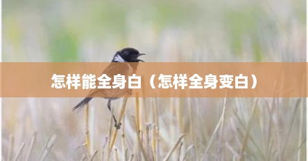 怎样能全身白（怎样全身变白）