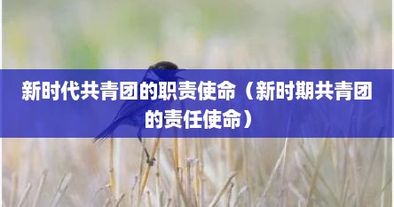 新时代共青团的职责使命（新时期共青团的责任使命）