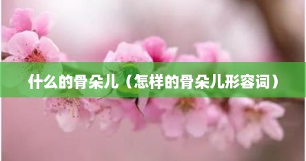 什么的骨朵儿（怎样的骨朵儿形容词）