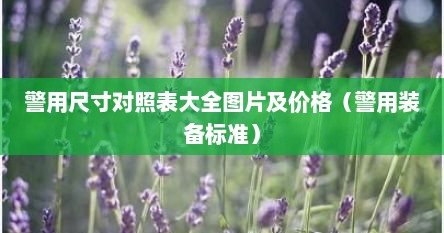 警用尺寸对照表大全图片及价格（警用装备标准）