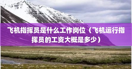 飞机指挥员是什么工作岗位（飞机运行指挥员的工资大概是多少）