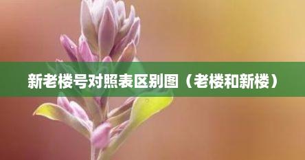 新老楼号对照表区别图（老楼和新楼）