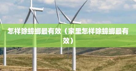怎样除蟑螂最有效（家里怎样除蟑螂最有效）
