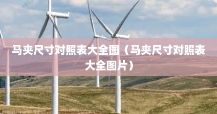 马夹尺寸对照表大全图（马夹尺寸对照表大全图片）