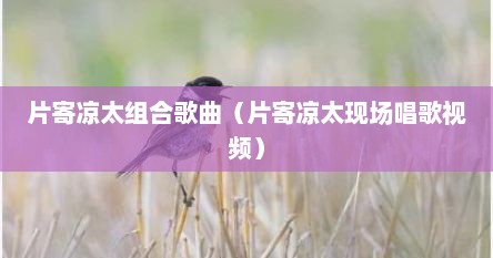 片寄凉太组合歌曲（片寄凉太现场唱歌视频）