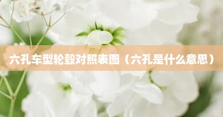 六孔车型轮毂对照表图（六孔是什么意思）