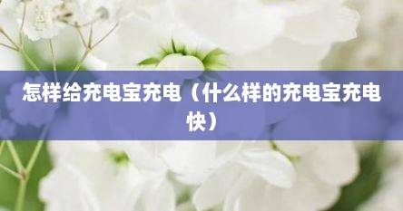 怎样给充电宝充电（什么样的充电宝充电快）