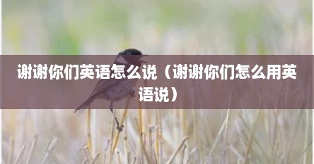 谢谢你们英语怎么说（谢谢你们怎么用英语说）