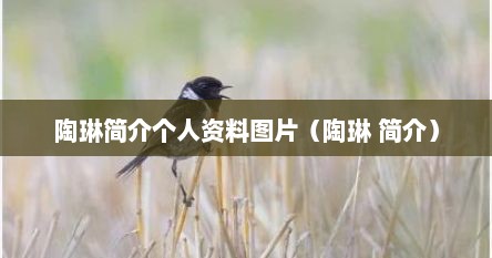 陶琳简介个人资料图片（陶琳 简介）