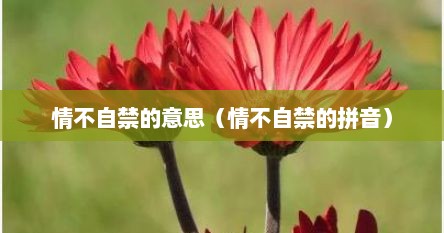 情不自禁的意思（情不自禁的拼音）