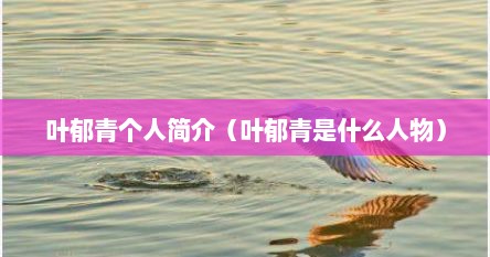 叶郁青个人简介（叶郁青是什么人物）