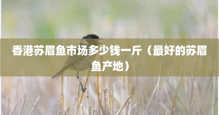 仙本那苏眉鱼和国内苏眉鱼（苏眉鱼多少钱一斤海钓）