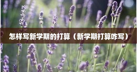 怎样写新学期的打算（新学期打算咋写）