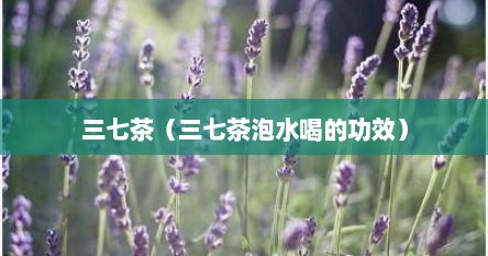 三七茶（三七茶泡水喝的功效）