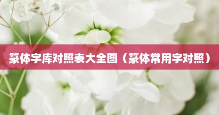 篆体字库对照表大全图（篆体常用字对照）