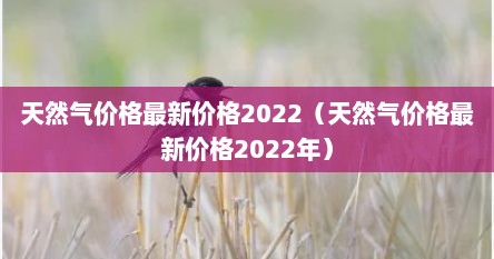 天然气价格最新价格2022（天然气价格最新价格2022年）