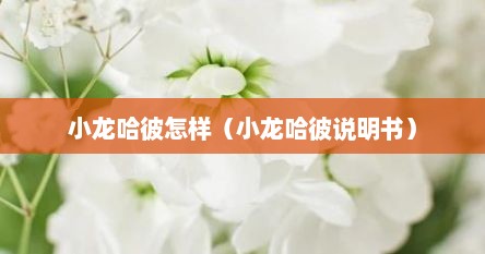 小龙哈彼怎样（小龙哈彼说明书）