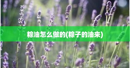 粽油怎么做的(粽子的油来)
