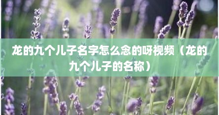 龙的九个儿子名字怎么念的呀视频（龙的九个儿子的名称）