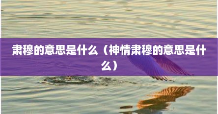 肃穆的意思是什么（神情肃穆的意思是什么）