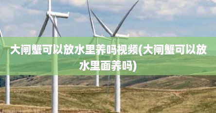 大闸蟹可以放水里养吗视频(大闸蟹可以放水里面养吗)
