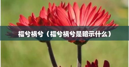 福兮祸兮（福兮祸兮是暗示什么）