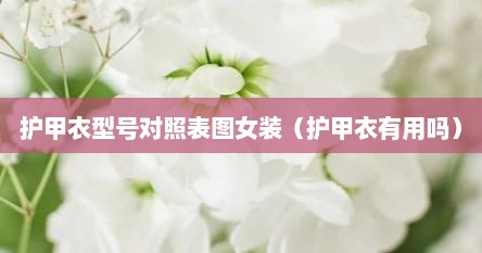 护甲衣型号对照表图女装（护甲衣有用吗）