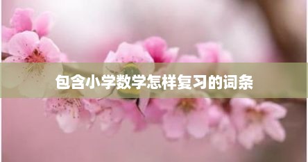 包含小学数学怎样复习的词条