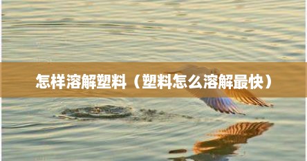 怎样溶解塑料（塑料怎么溶解最快）
