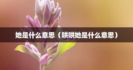 她是什么意思（哄哄她是什么意思）