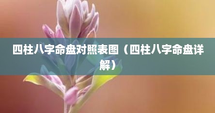 四柱八字命盘对照表图（四柱八字命盘详解）