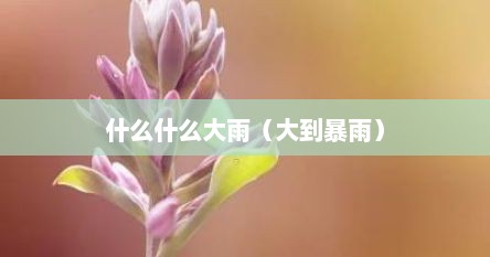 什么什么大雨（大到暴雨）