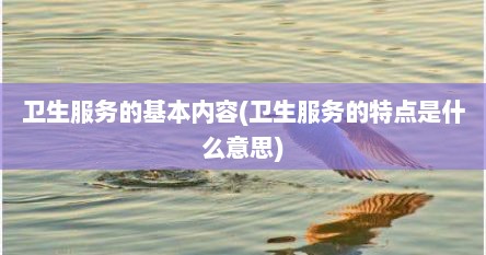 卫生服务的基本内容(卫生服务的特点是什么意思)