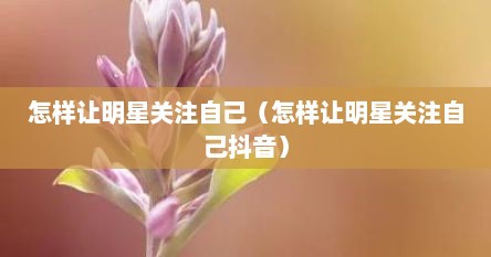怎么让明星关注到你的评论（如何让艺人关注你抖音）
