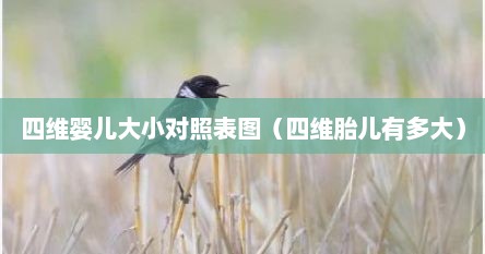 四维婴儿大小对照表图（四维胎儿有多大）