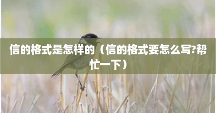 信的格式是怎样的（信的格式要怎么写?帮忙一下）
