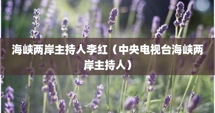 海峡两岸主持人李红（中央电视台海峡两岸主持人）