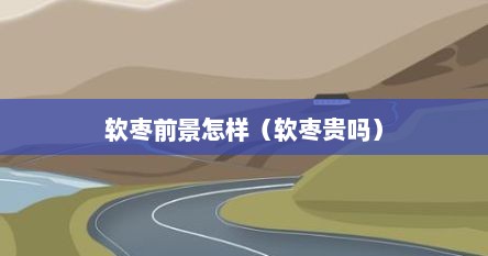 软枣前景怎样（软枣贵吗）