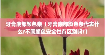 牙膏底部颜色条（牙膏底部颜色条代表什么?不同颜色安全性有区别吗?）