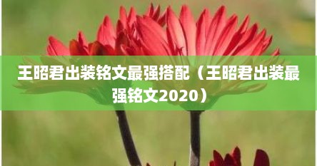 王昭君出装铭文最强搭配（王昭君出装最强铭文2020）
