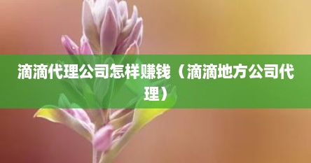 滴滴代理公司怎样赚钱（滴滴地方公司代理）