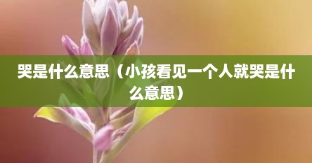 哭是什么意思（小孩看见一个人就哭是什么意思）