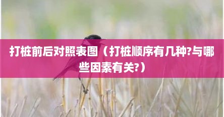 打桩前后对照表图（打桩顺序有几种?与哪些因素有关?）