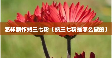 怎样制作熟三七粉（熟三七粉是怎么做的）
