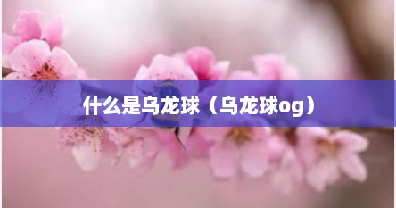 什么是乌龙球（乌龙球og）