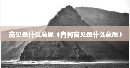请教高见是什么意思（有何高见下一句）