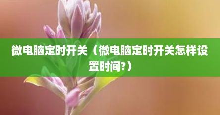 微电脑定时开关（微电脑定时开关怎样设置时间?）