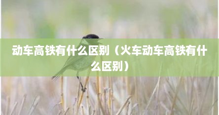 动车高铁有什么区别（火车动车高铁有什么区别）