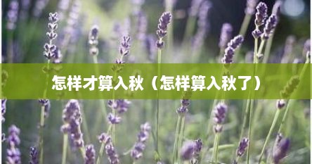 怎样才算入秋（怎样算入秋了）